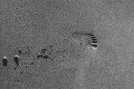 Nachlass Leonardo Bezzola